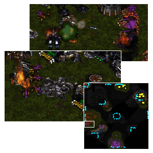 A funny thing happened to me on my way to BR.com...